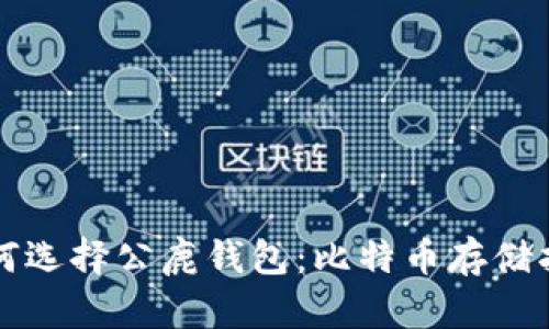 如何选择公鹿钱包：比特币存储指南