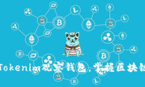 如何使用Tokenim观察钱包，掌握区块链资产动态