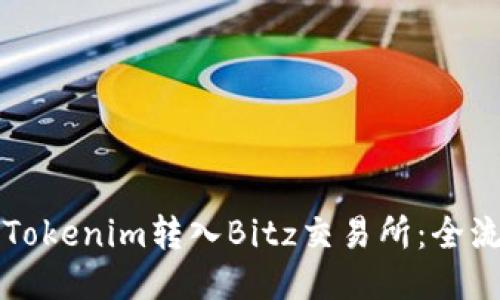 如何将Tokenim转入Bitz交易所：全流程指南