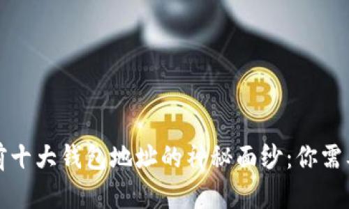 揭开比特币前十大钱包地址的神秘面纱：你需要知道的一切
