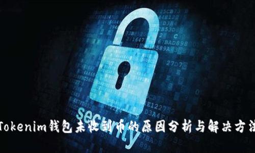Tokenim钱包未收到币的原因分析与解决方法