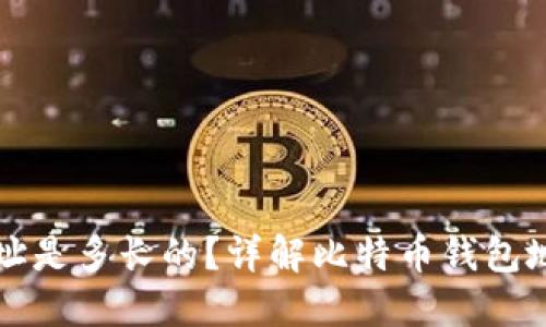 比特币钱包地址是多长的？详解比特币钱包地址位数与类型
