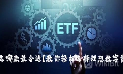 区块链钱包选哪款最合适？教你轻松选择理想数字资产管理工具