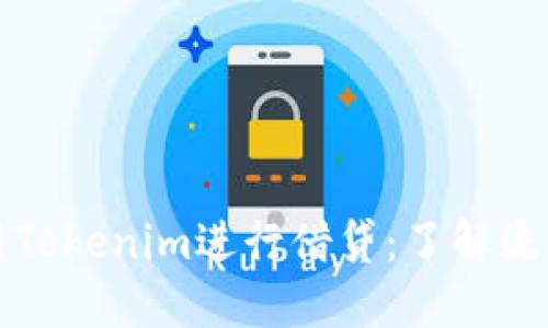 如何使用Tokenim进行借贷：了解流程与技巧