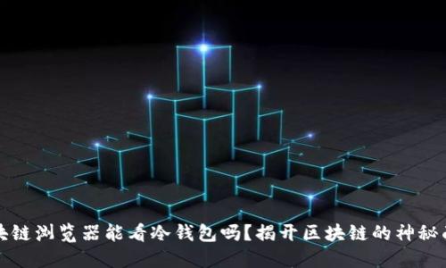 区块链浏览器能看冷钱包吗？揭开区块链的神秘面纱