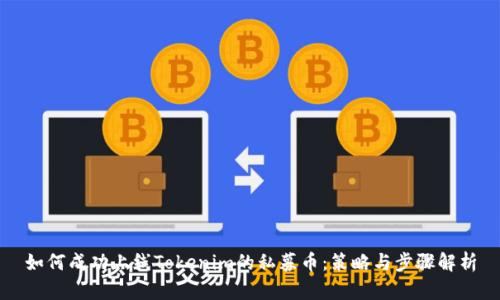 如何成功上线Tokenim的私募币：策略与步骤解析