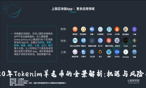 2020年Tokenim羊毛币的全景解析：机遇与风险并存