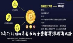 2020年Tokenim羊毛币的全景解
