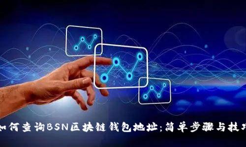 如何查询BSN区块链钱包地址：简单步骤与技巧
