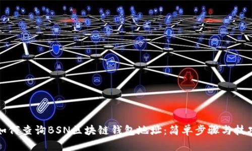 如何查询BSN区块链钱包地址：简单步骤与技巧