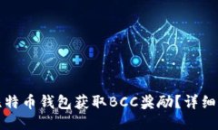 如何通过比特币钱包获取
