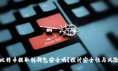 比特币提取到钱包安全吗？探讨安全性与风险
