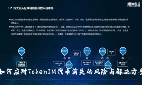 如何应对TokenIM代币消失的风险与解决方案