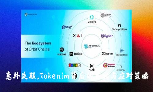 意外失联，Tokenim背后的真相与应对策略