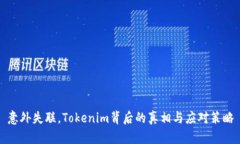意外失联，Tokenim背后的真