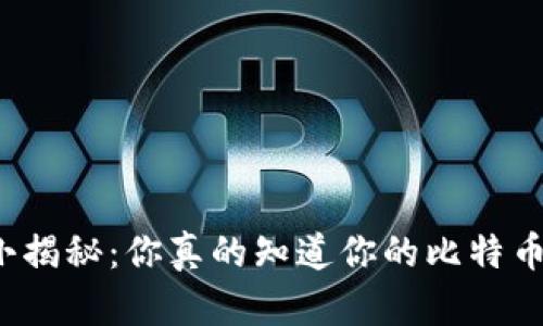 比特币钱包大小揭秘：你真的知道你的比特币钱包有多大吗？