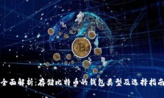 全面解析：存储比特币的