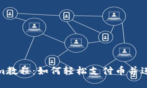 Tokenim教程：如何轻松支付币并进行充值