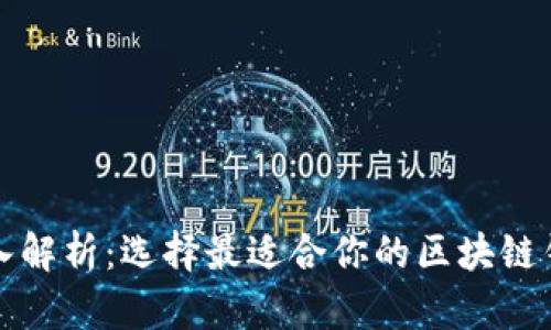 深入解析：选择最适合你的区块链钱包