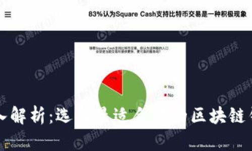 深入解析：选择最适合你的区块链钱包