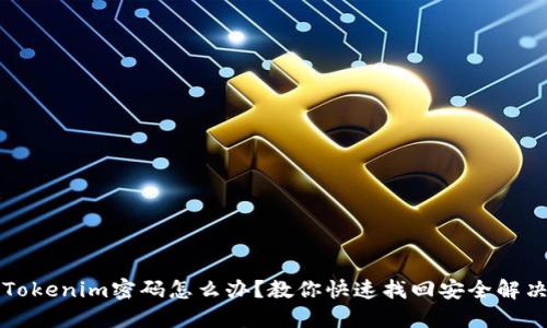 忘记Tokenim密码怎么办？教你快速找回安全解决方案
