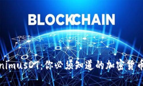 理解TokenimusDT：你必须知道的加密货币投资机会