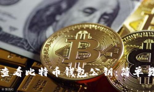 如何安全查看比特币钱包公钥：简单易懂的指南