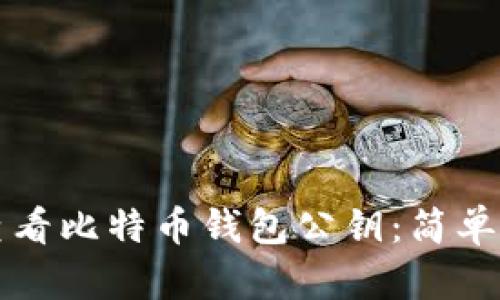 如何安全查看比特币钱包公钥：简单易懂的指南