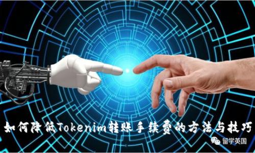 如何降低Tokenim转账手续费的方法与技巧