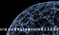 USDT是什么币钱包？详解