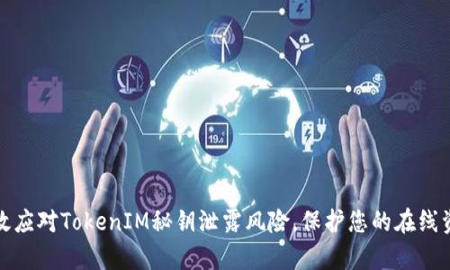如何有效应对TokenIM秘钥泄露风险，保护您的在线资产安全