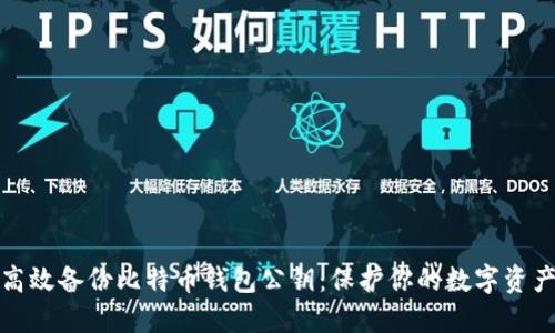 如何高效备份比特币钱包公钥：保护你的数字资产安全