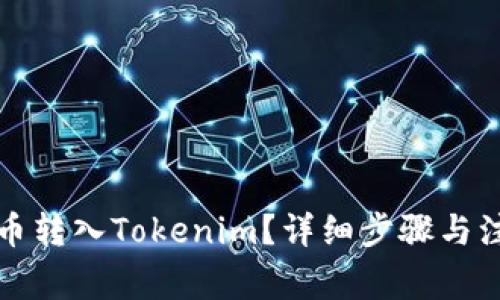 如何将币转入Tokenim？详细步骤与注意事项