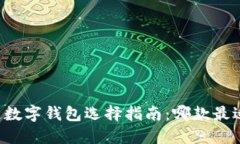 区块链数字钱包选择指南
