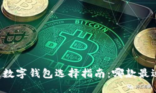 区块链数字钱包选择指南：哪款最适合你？