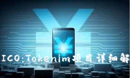 如何成功参与ICO：Tokenim项目详细解析与用户指南