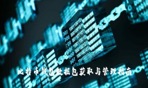 比特币钱包数据包获取与管理指南