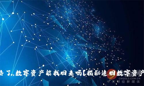 Tokenim跑路了，数字资产能找回来吗？揭秘追回数字资产的有效途径