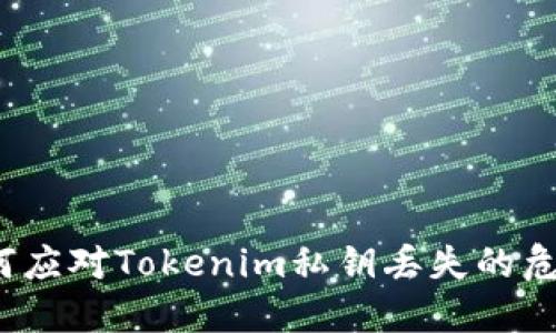 如何应对Tokenim私钥丢失的危机？