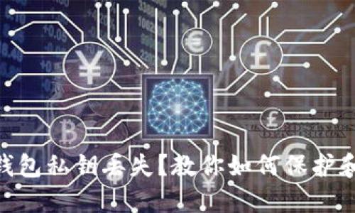 Tokenim钱包私钥丢失？教你如何保护和找回资产