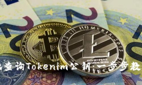 如何便捷地查询Tokenim公钥：一步步教你解决问题