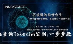 如何便捷地查询Tokenim公钥