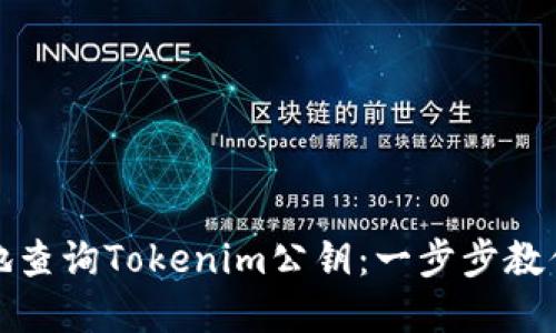 如何便捷地查询Tokenim公钥：一步步教你解决问题