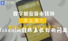 如何解决Tokenim转账未收到