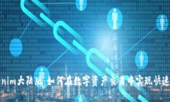 Tokenim大陆版：如何在数字