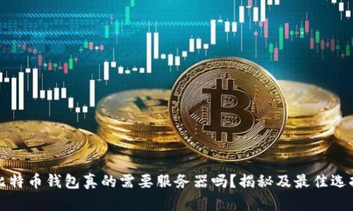 比特币钱包真的需要服务器吗？揭秘及最佳选择
