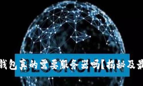比特币钱包真的需要服务器吗？揭秘及最佳选择
