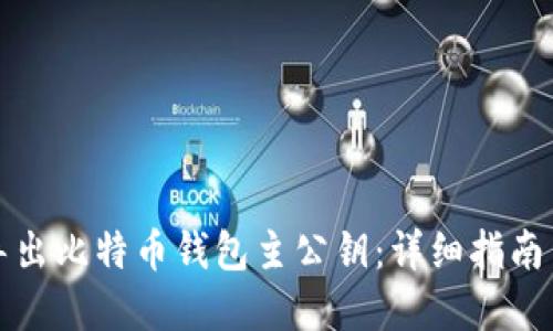 如何安全导出比特币钱包主公钥：详细指南与实用技巧