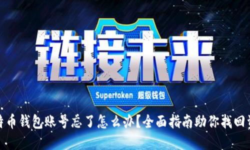 比特币钱包账号忘了怎么办？全面指南助你找回资金