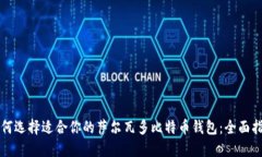 如何选择适合你的萨尔瓦